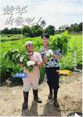 蜜桃影视免费观看音乐竞演综艺声浪计划